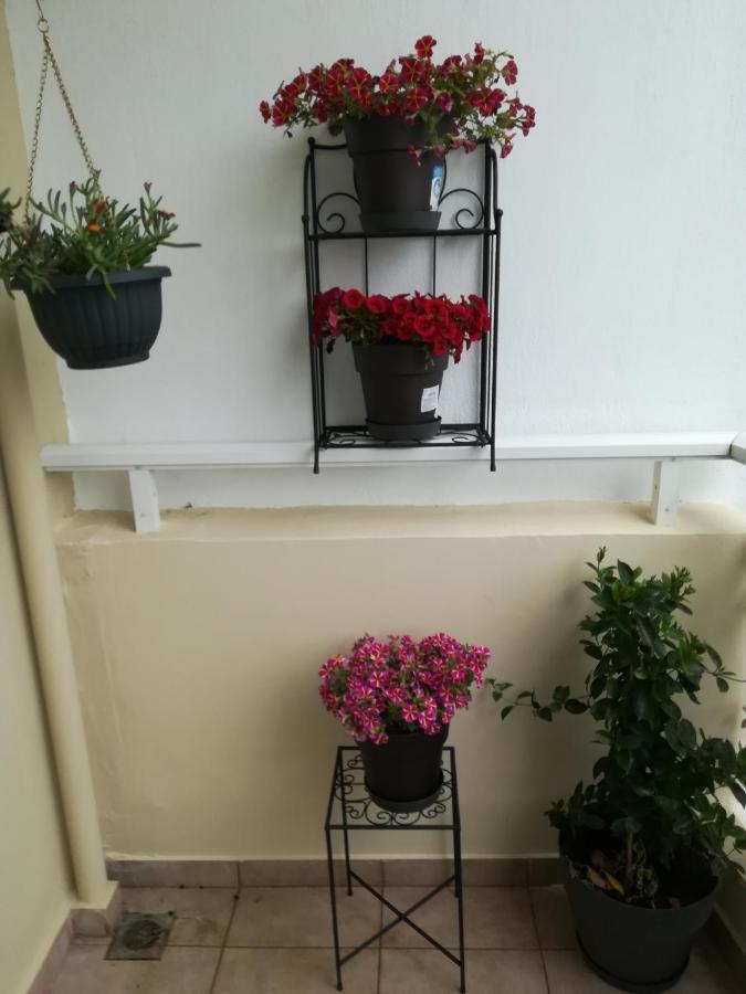 Apartment Ey Zhn Néa Khilí Exterior foto